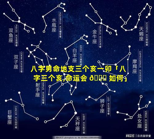 八字男命地支三个亥一卯「八字三个亥,命运会 🐟 如何」